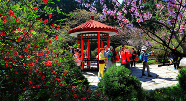 �������ο�����ʮ���塱������,Ŀ��������